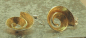 Preview: Silber-Ohrringe vergoldet Spiraldesign